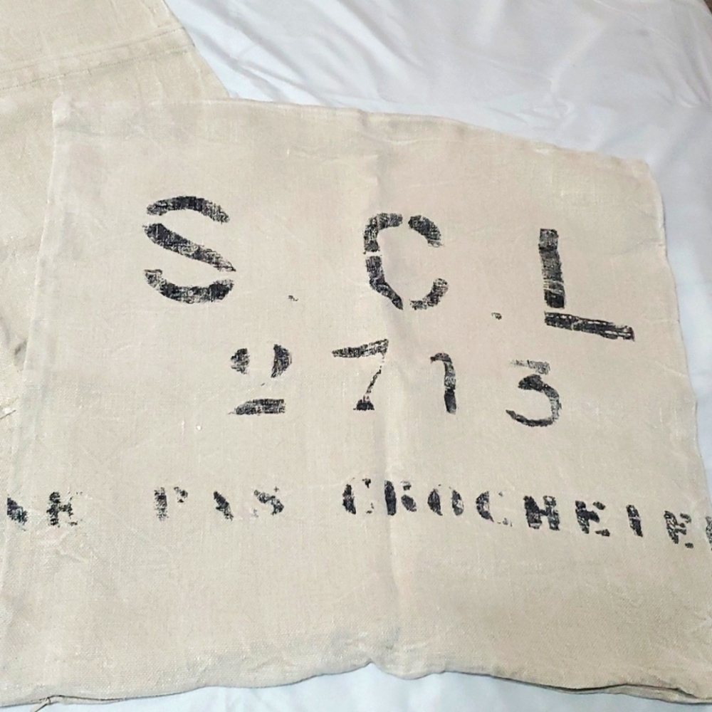 Restoration Hardware 2 pillow shams